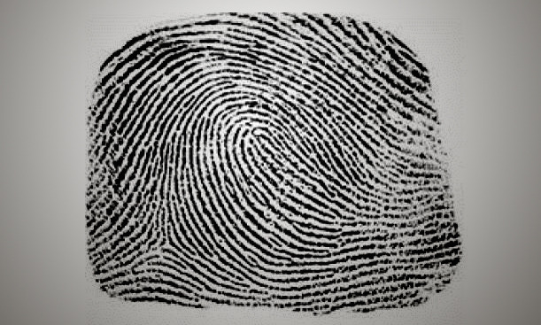 Fingerabdruck