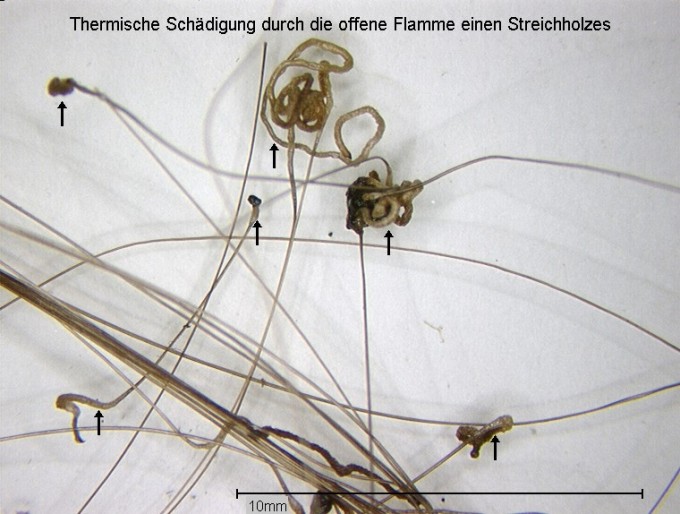 Durch eine offene Flamme versengte Kopfhaare